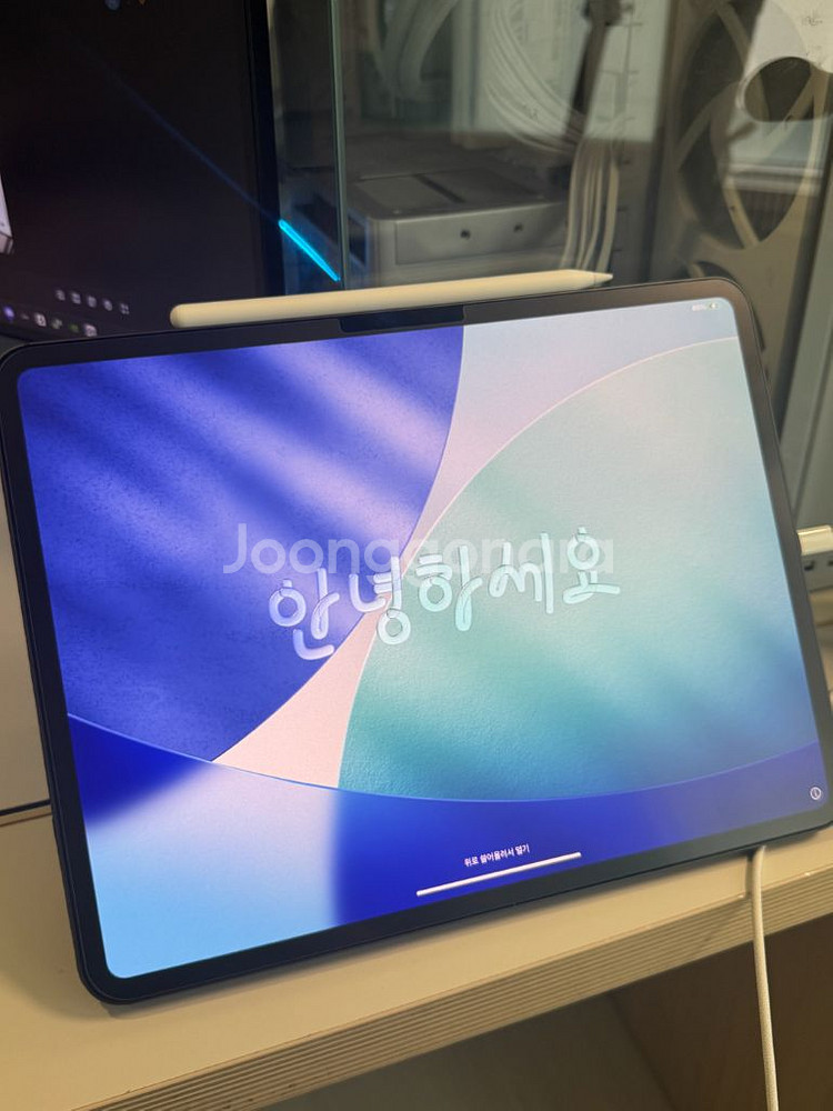 아이패드 프로 M4 13 256GB 와이파이 + 애플펜슬--0