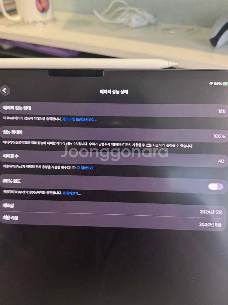 아이패드 프로 M4 13 256GB 와이파이 + 애플펜슬--1