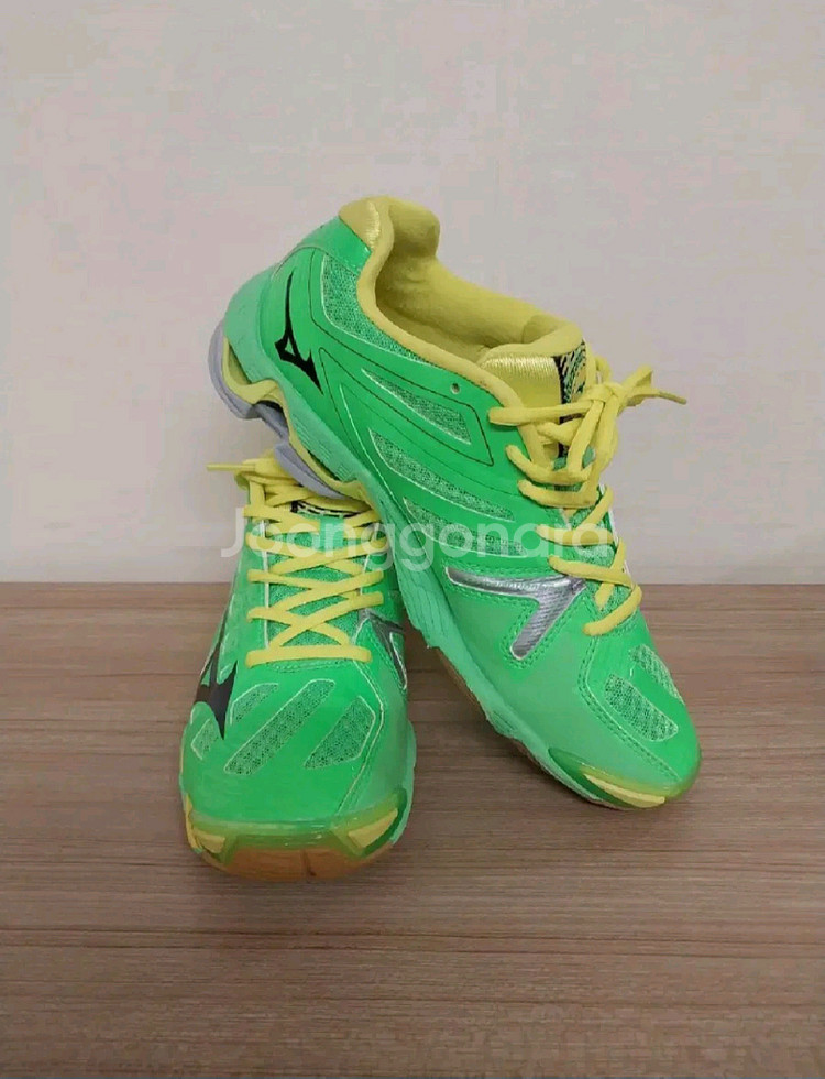 남성 미즈노 웨이브라이트닝 인도어슈즈 (배드민턴화, 탁구화등) (250)--1