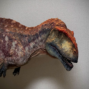 각종 공룡 피규어, 공룡 스태츄 가격내림 급처합니다 만롱당 본심남개