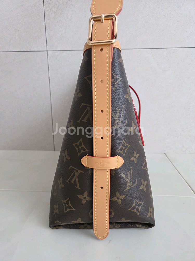 루이비통 캐리올 pm--2