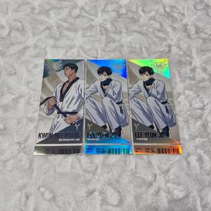 칼과 꽃 팀레진 경기 티켓