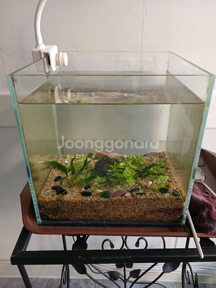 35L 어항 세트--2