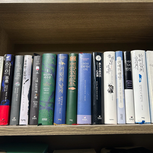 히가시노게이고 추리소설