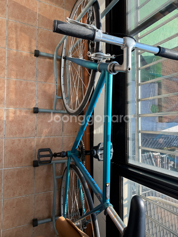 벨로라인 라흐 밸런스 픽시 자전거--0