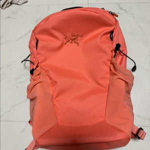 아크테릭스 맨티스 16