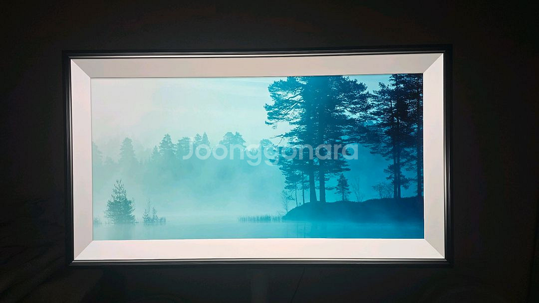 LG 고급형 TV 65인치 OLED65G1KNA 팝니다--1