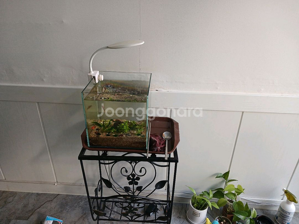 35L 어항 세트--3