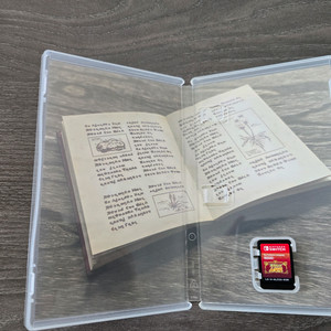 스위치 포켓몬스터 스칼렛