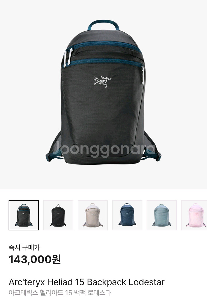 아크테릭스 헬리아드 15 백팩 로데스타--0