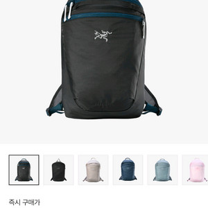 아크테릭스 헬리아드 15 백팩 로데스타