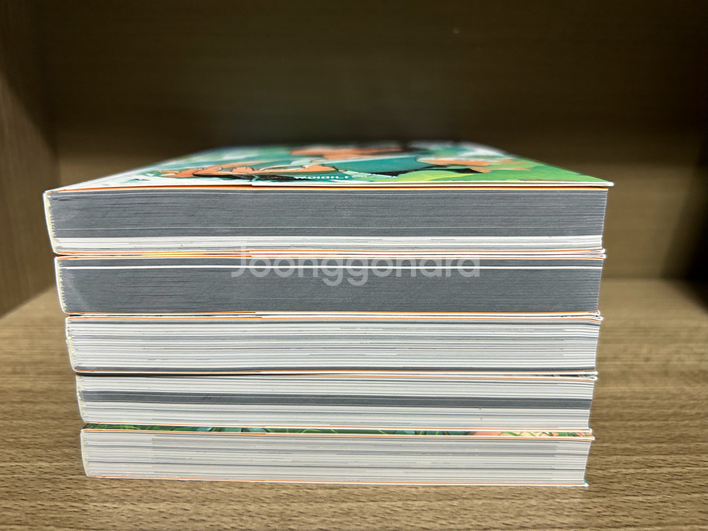 웹툰 도서 사이사 도롱이--1