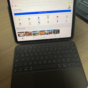 아이패드 프로 11형 셀룰러 256GB + 로지텍 키보드+짭플펜슬
