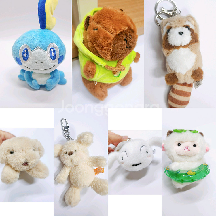 인형 키링 판매 (춘식이, 빤쮸토끼,한교동,우사히나, 흰둥이,카피바라)--1