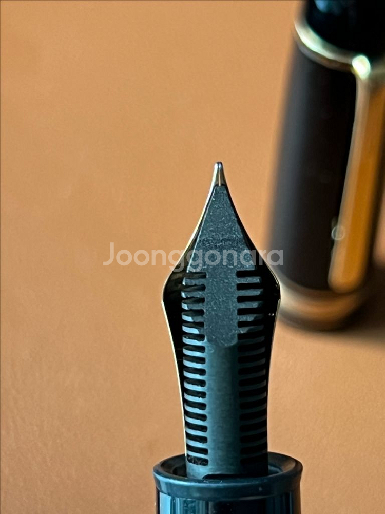 몽블랑 149 만년필 F (80년대)--4