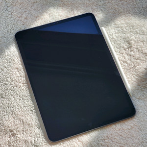 아이패드 프로 11(1세대) 256G + 애플펜슬 2세대