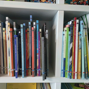 도로시책끼 전50권(49+부록1)