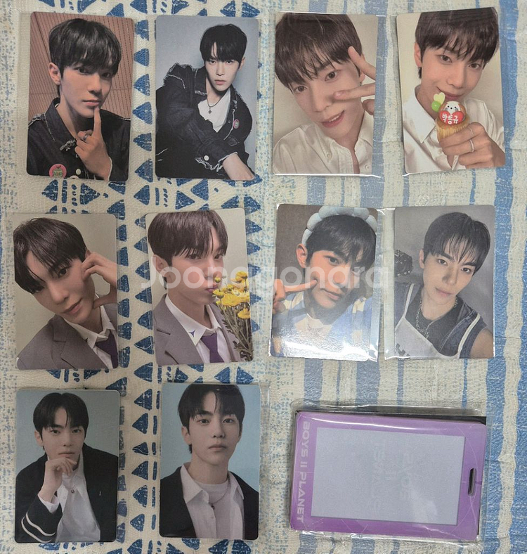 [2주차] 박동규 전시회 포카 풀셋 보플 보이즈플래닛2 포카홀더--0