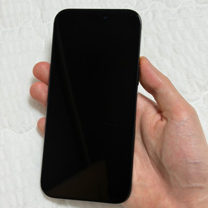 아이폰 16 프로 맥스 256GB 애케플