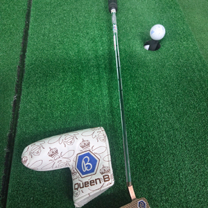 골프 베티나르디 퀸비 퍼터