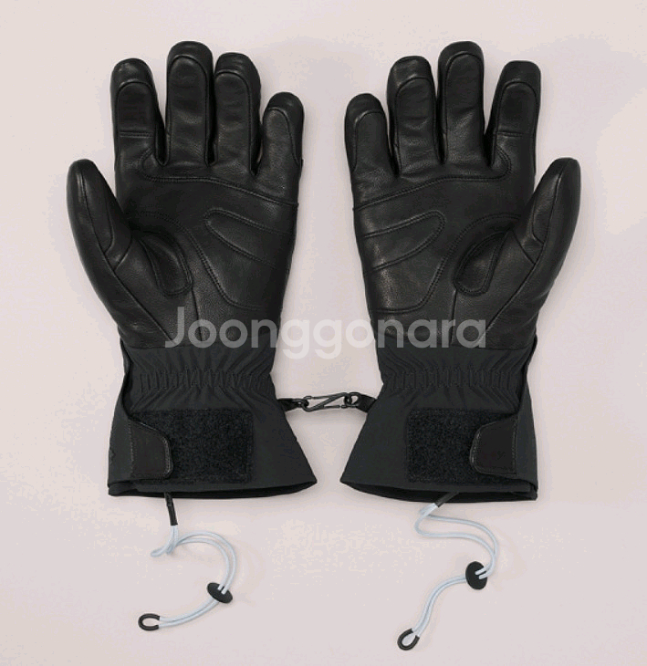 아크테릭스 세이버 글러브(새제품)--1