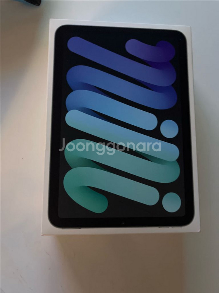 아이패드 미니6 셀룰러 256--1
