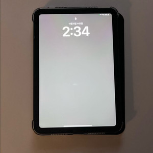 아이패드 미니6 셀룰러 256