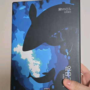 츠지무라 미즈키 소설 얼음고래