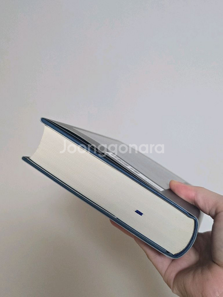 츠지무라 미즈키 소설 얼음고래--2