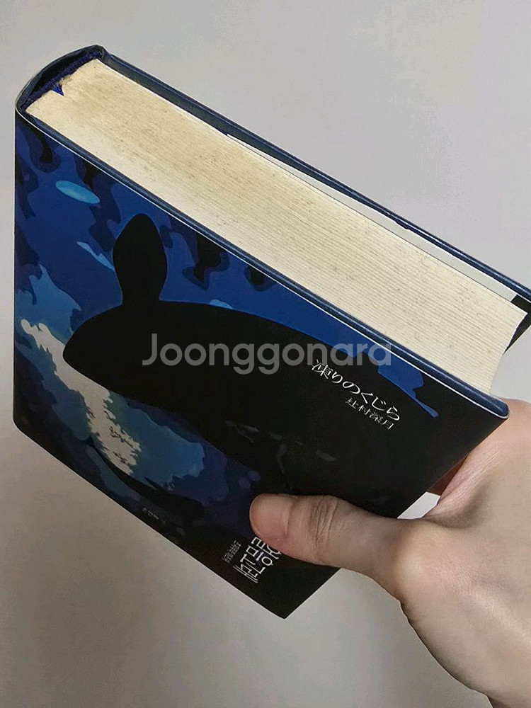 츠지무라 미즈키 소설 얼음고래--3