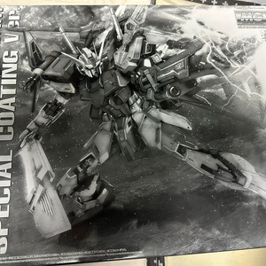 반다이건담 MG 퍼펙트스트라이크 스페셜코팅