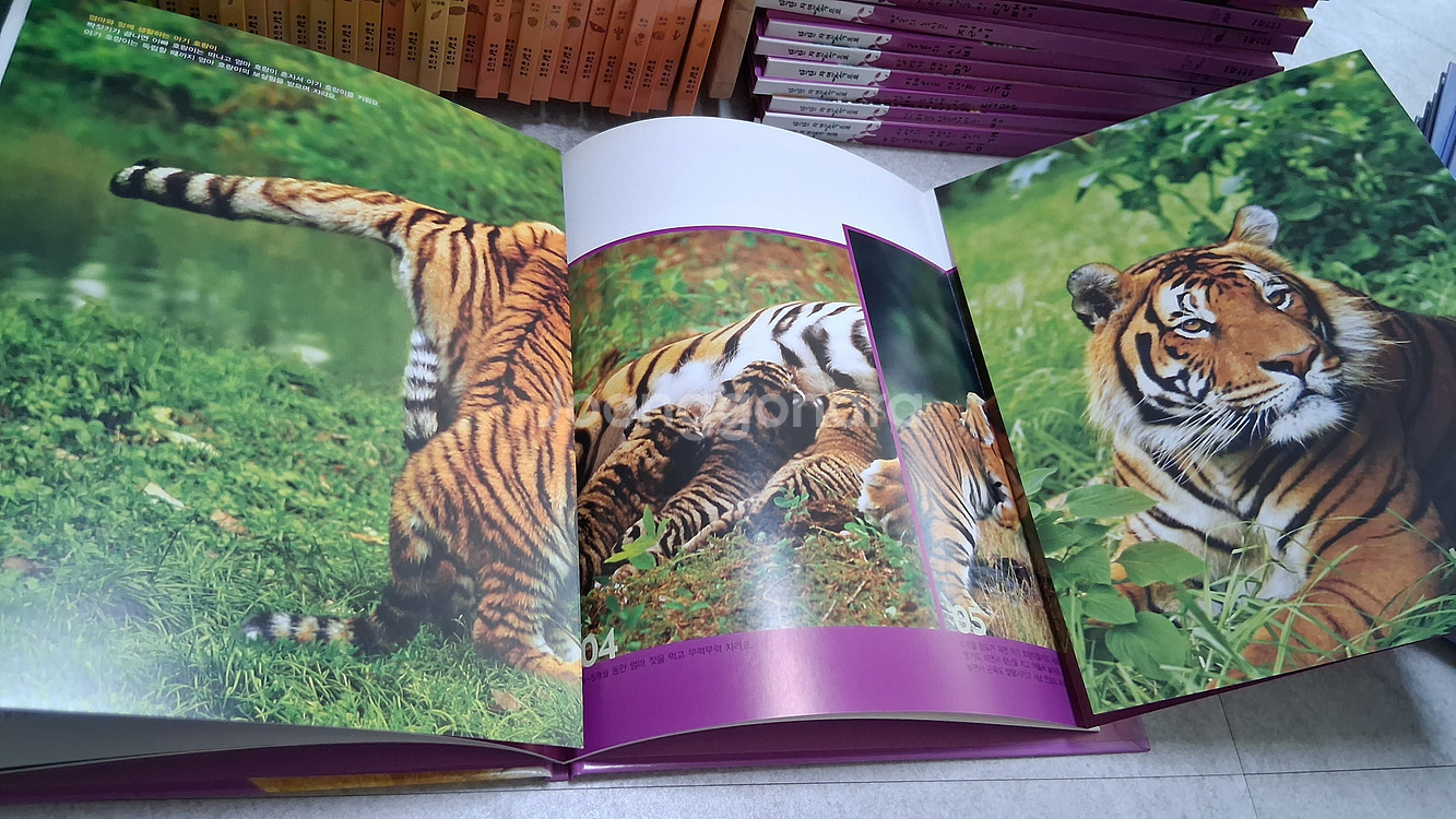 여원미디어탄탄자연속으로100권-69,000원--3