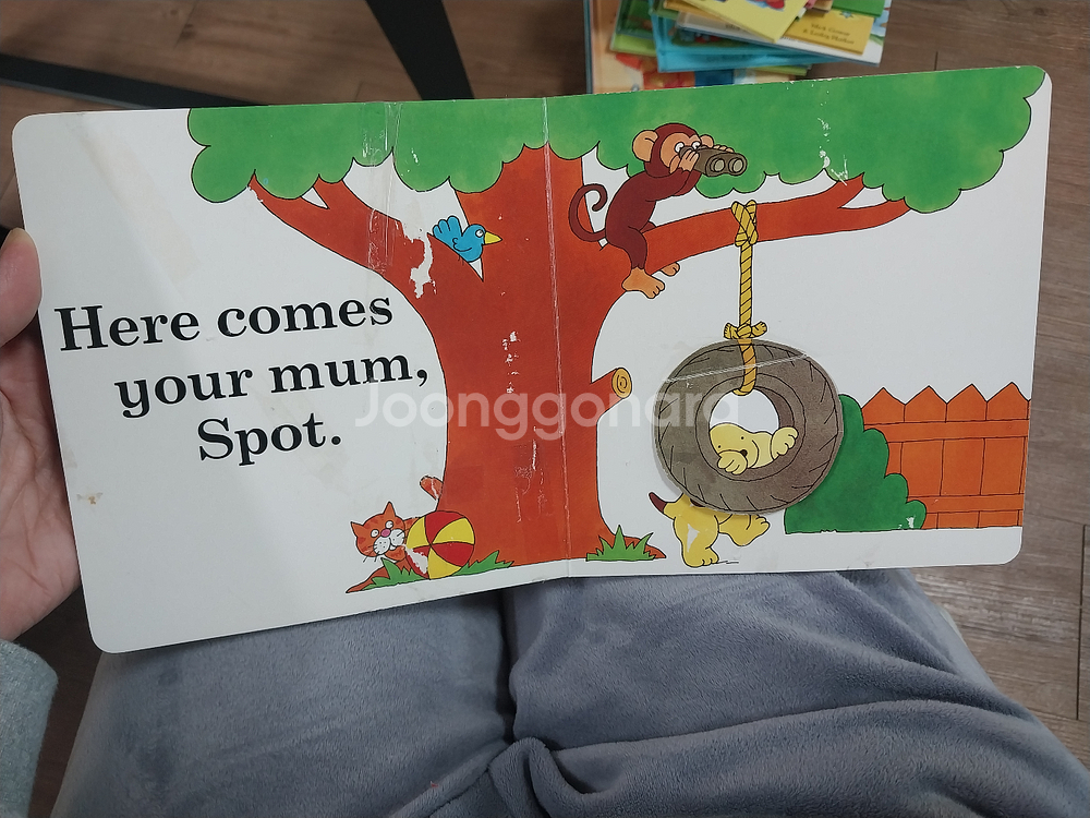 스팟 보드북 10권 + 팝업북 1권--5