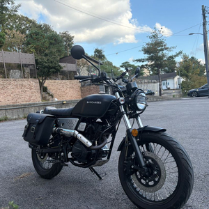 부캐너 125cc / 19년식 / 3400km 이미지