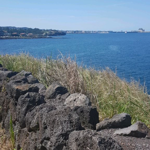 [cp전문매매] 카큐cp 사요. 대~소량가능