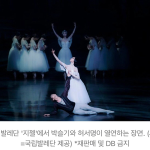 국립발레단 지젤 박세은 회차포함