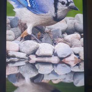 제우스랩 z18t 휴대용 포터블 모니터 (터치가능)