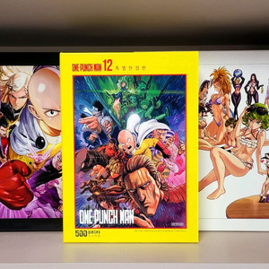 급처 / 오늘만) 원펀맨 12권, 22권 A & B 특별 한정판 총 3종