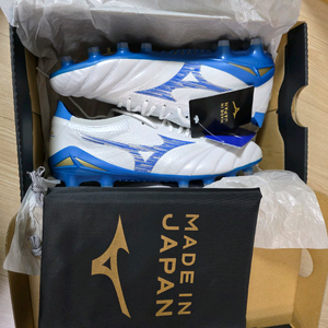 모렐리아 네오4 베타 재팬 md 260 팝니다.