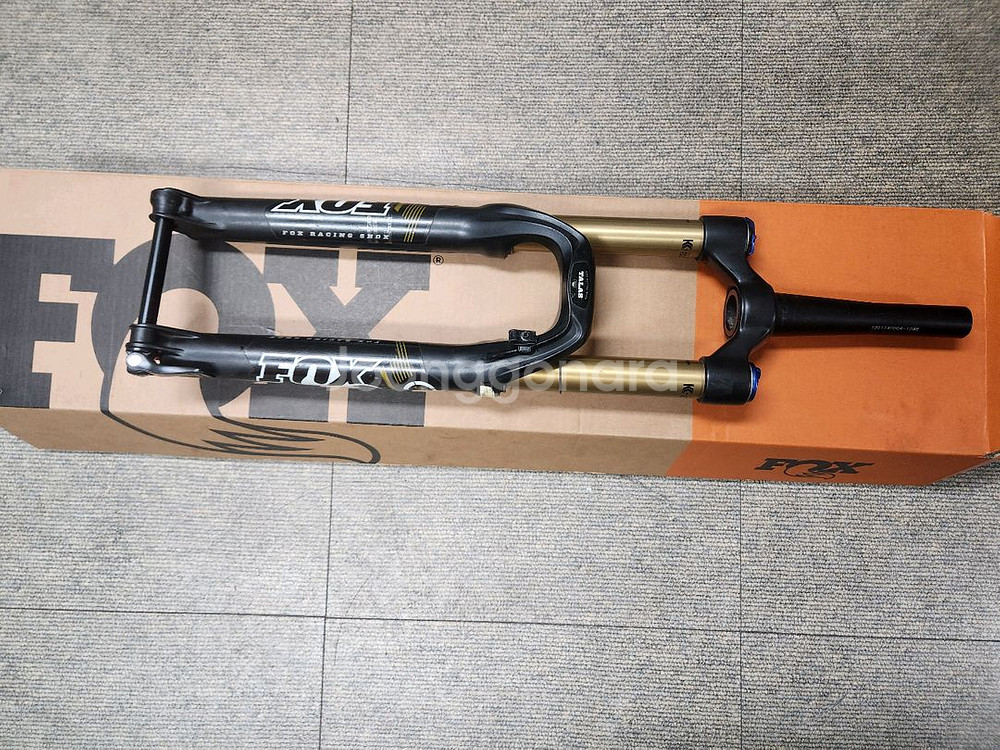 폭스34 팩토리 탈라스 카시마--0