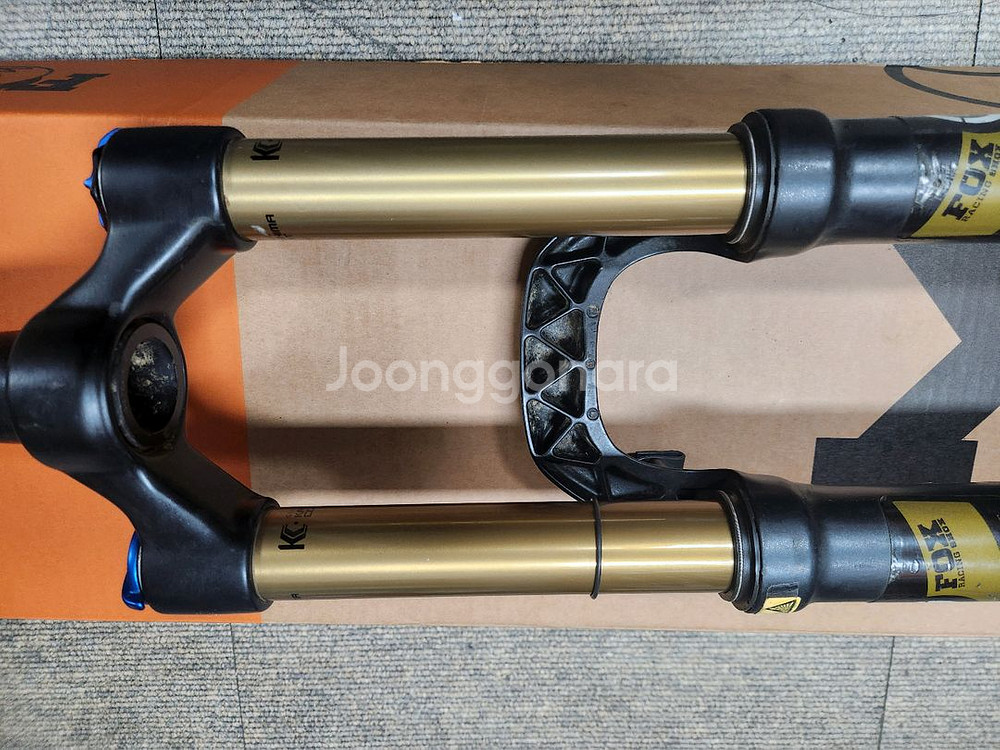 폭스34 팩토리 탈라스 카시마--2