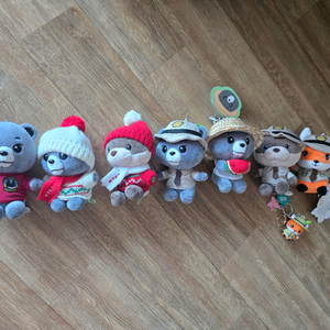 국립공원 지리산 반달곰 정품