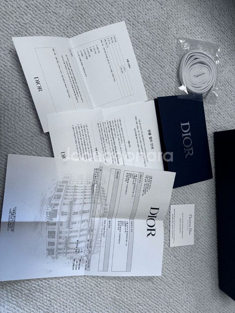 디올 오블리크 스니커즈--9