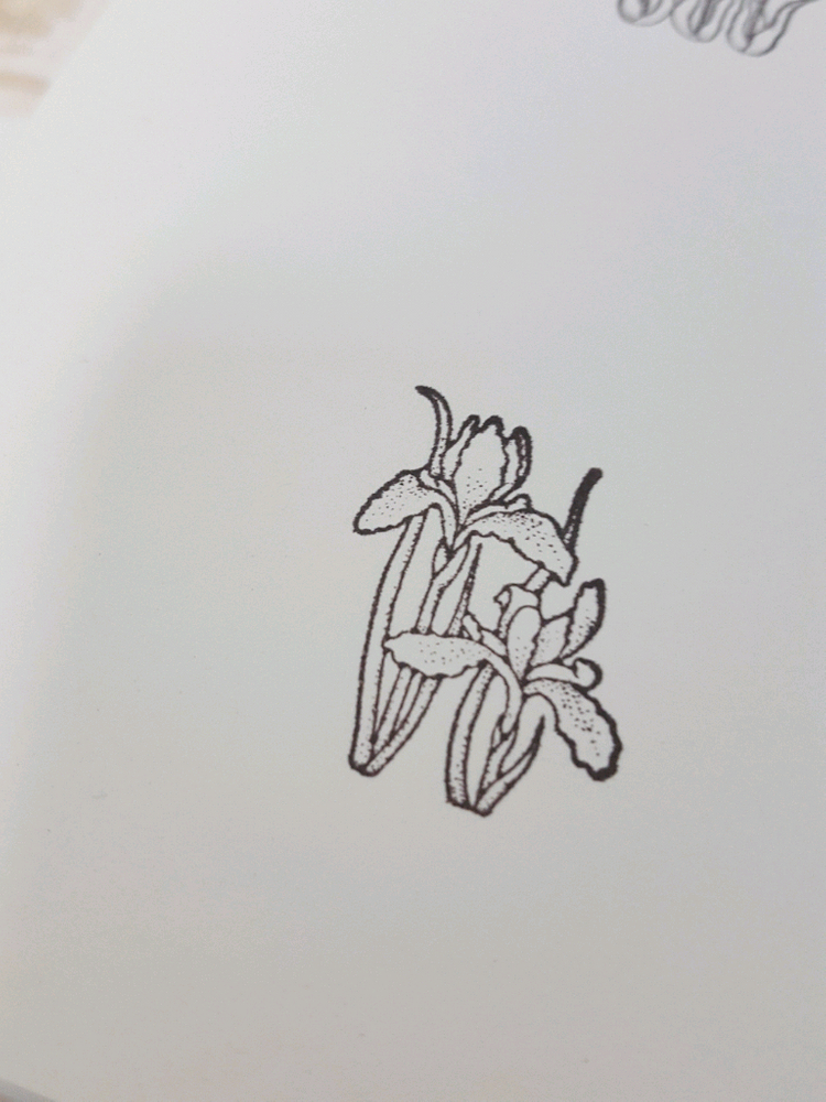 미국 히어로아츠 빈티지 스탬프 다꾸 식물 테디베어 꽃 이미지