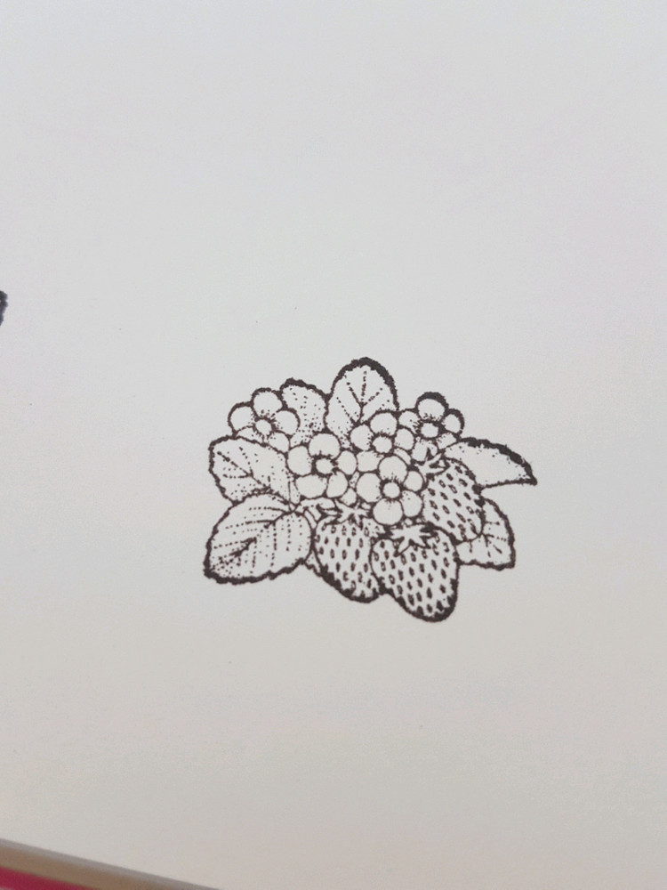 미국 히어로아츠 빈티지 스탬프 다꾸 식물 테디베어 꽃 이미지