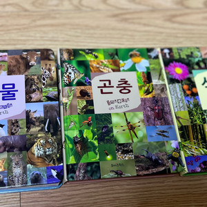 와이즈팍스 식물 곤충 동물 도감 그림책 3권 세트