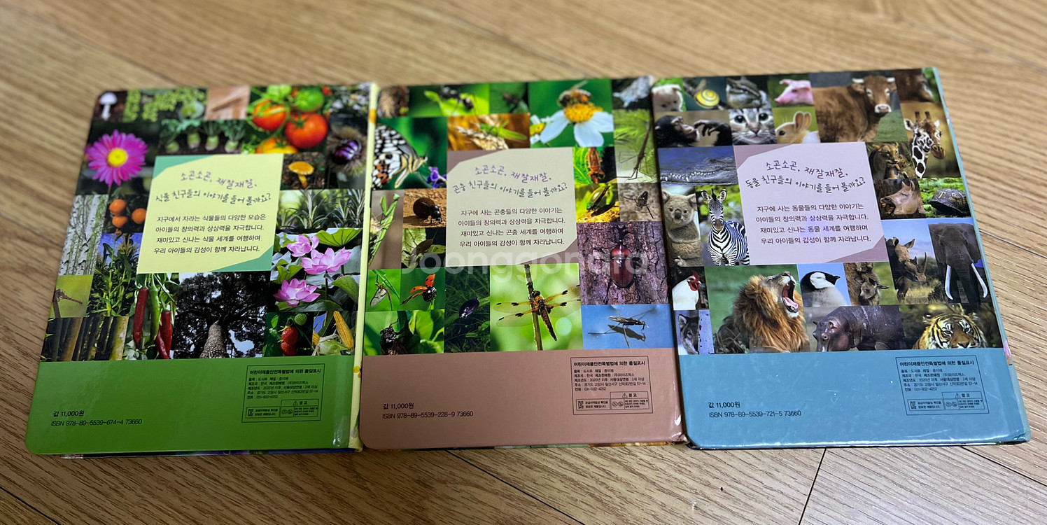 와이즈팍스 식물 곤충 동물 도감 그림책 3권 세트--2