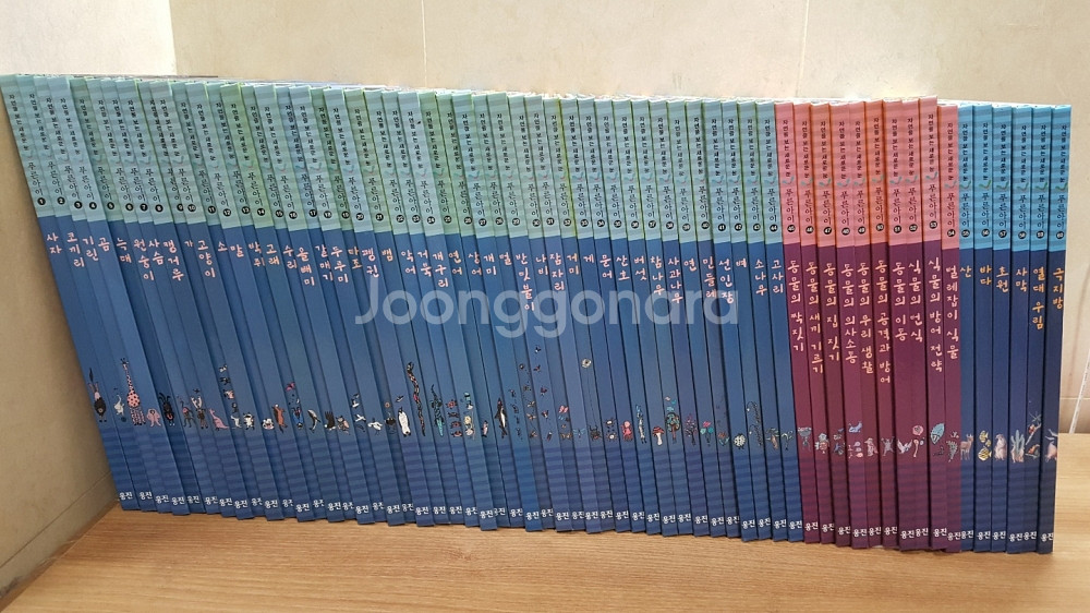 웅진 자연관찰 전집 푸른아이 전60권 세트--0