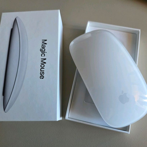 애플 매직마우스 2세대