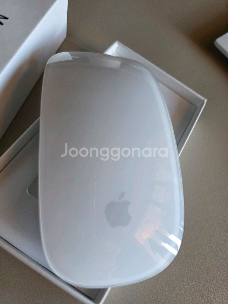 애플 매직마우스 2세대--1